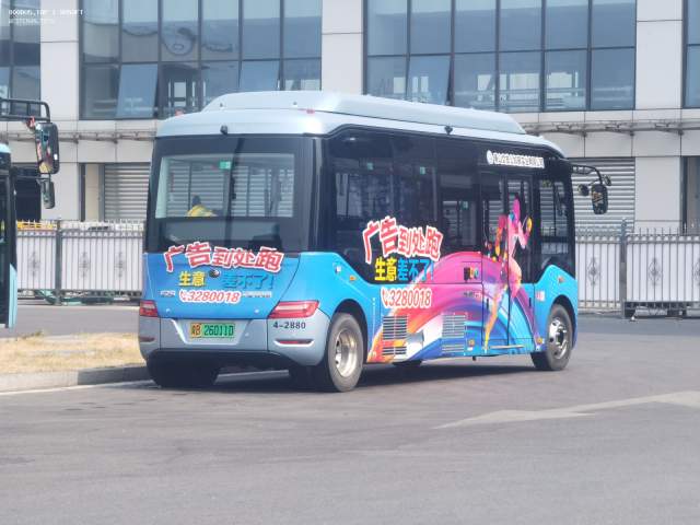 800BUS