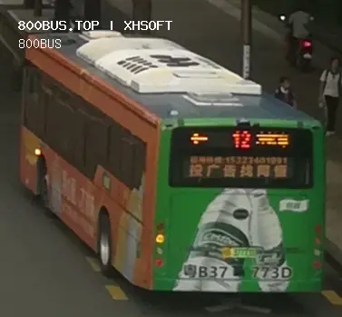 800BUS