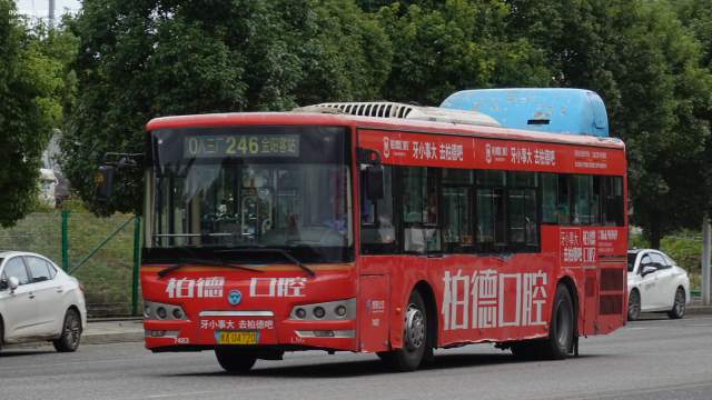 800BUS