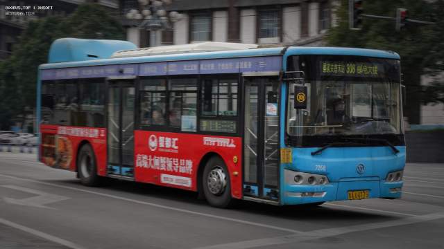 800BUS