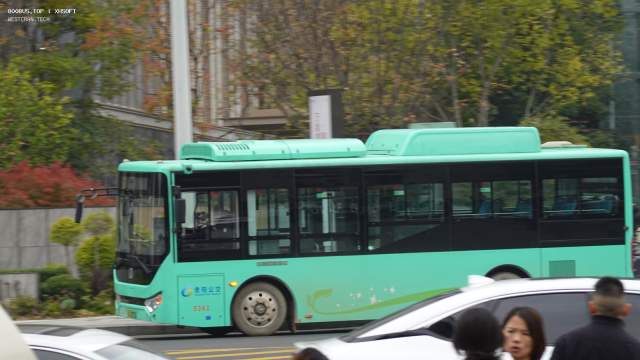 800BUS