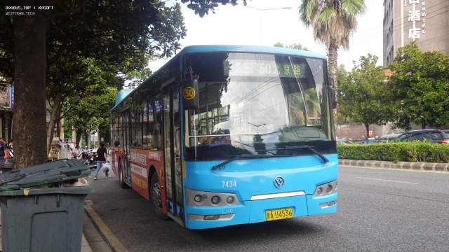 800BUS