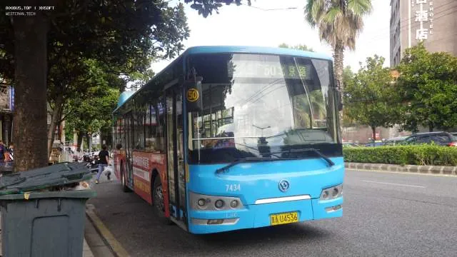 800BUS