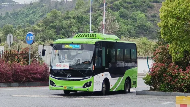 800BUS
