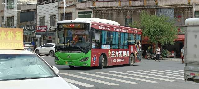 800BUS