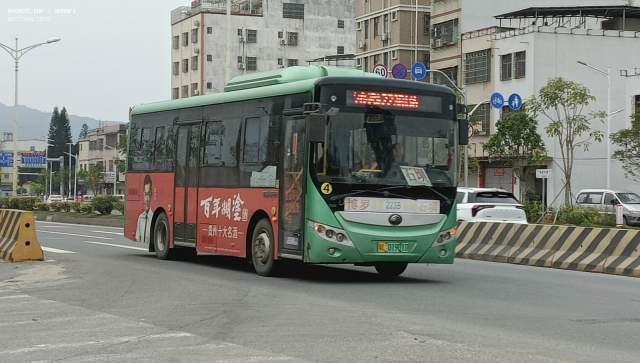 800BUS