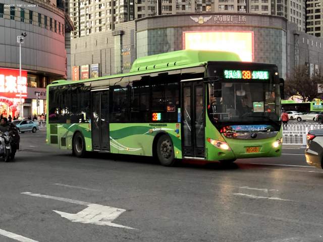 800BUS