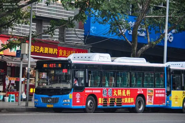 800BUS