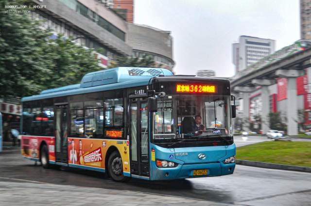 800BUS