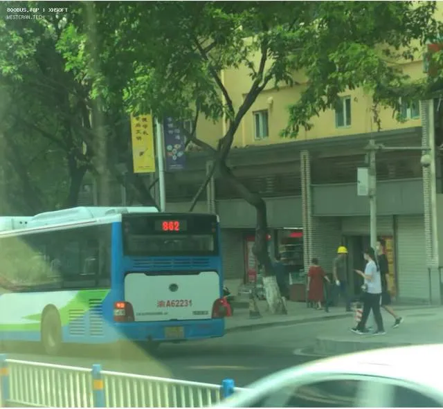 800BUS