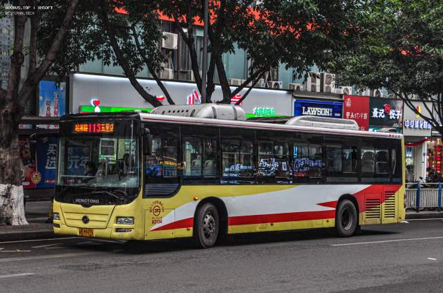800BUS