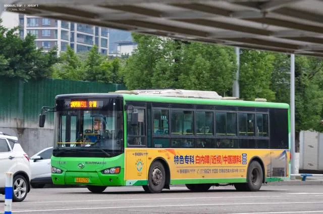 800BUS