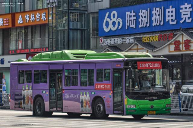 800BUS