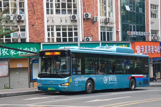 800BUS