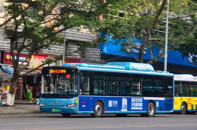 800BUS