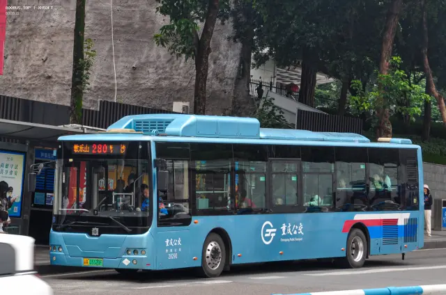 800BUS
