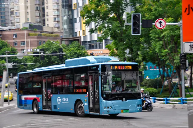 800BUS