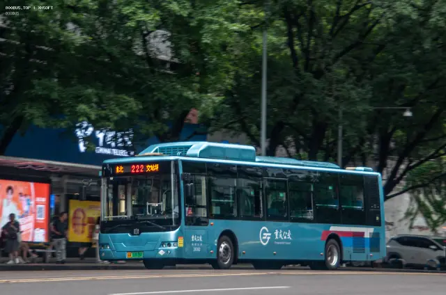 800BUS