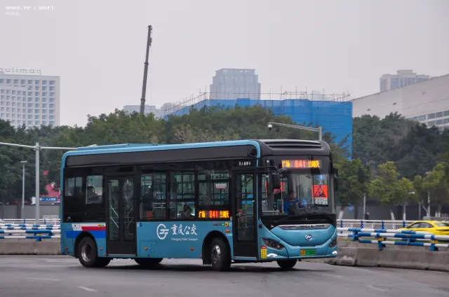 800BUS