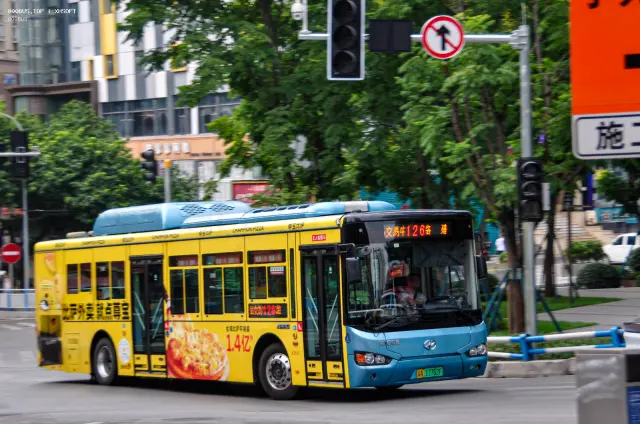 800BUS