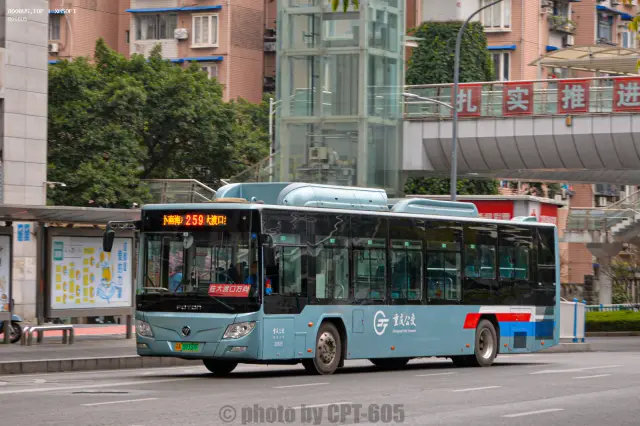 800BUS