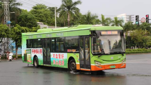 800BUS