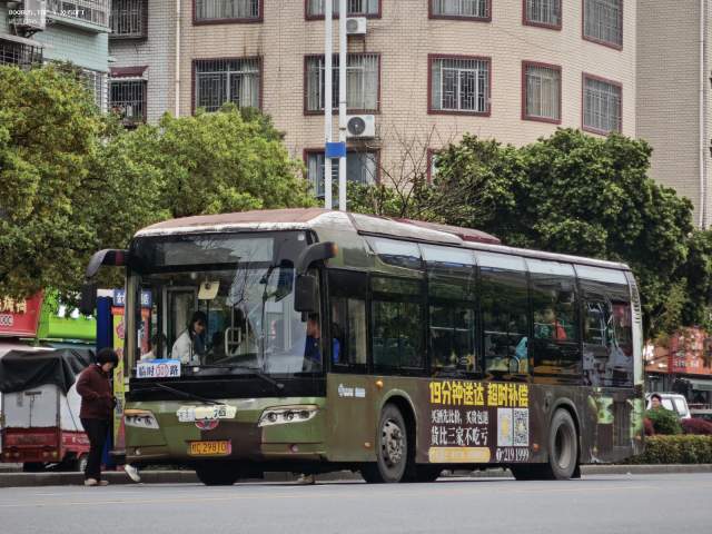 800BUS