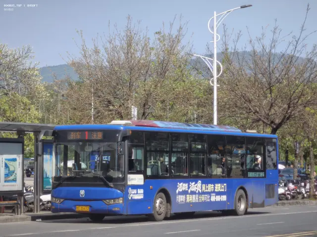 800BUS