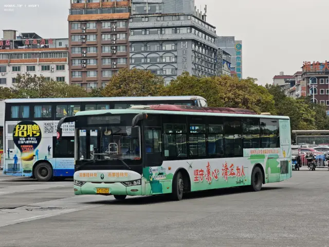 800BUS