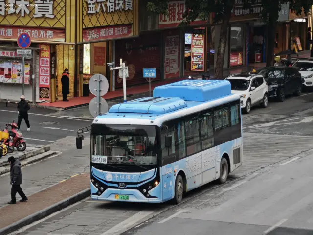 800BUS