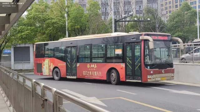 800BUS