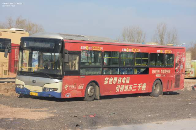 800BUS