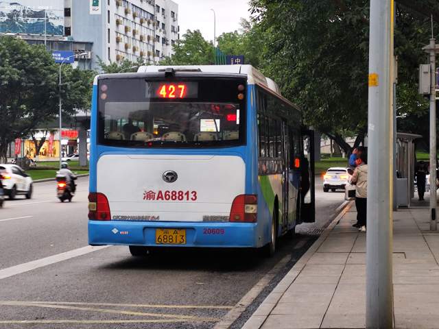 800BUS