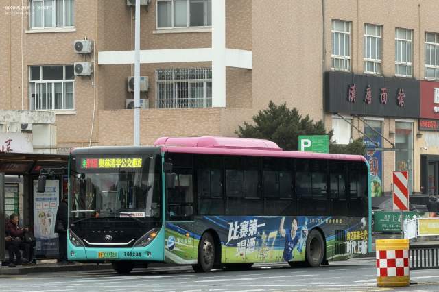 800BUS