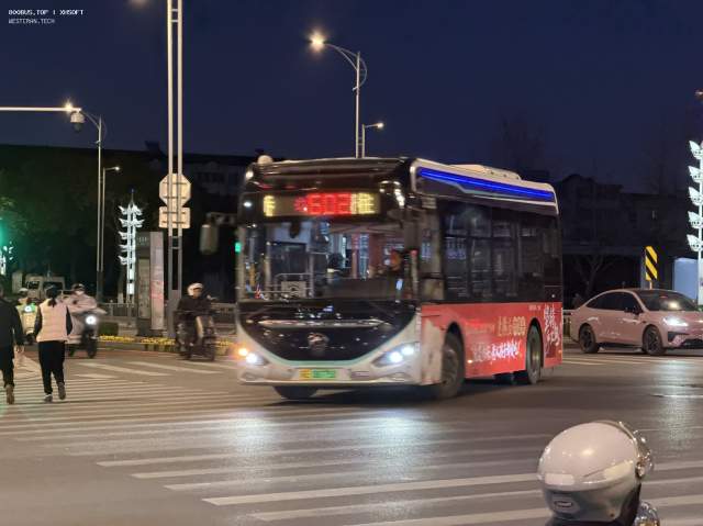 800BUS