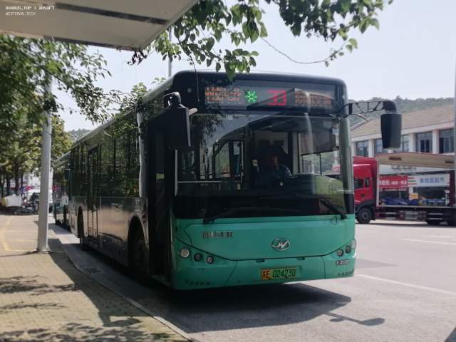 800BUS