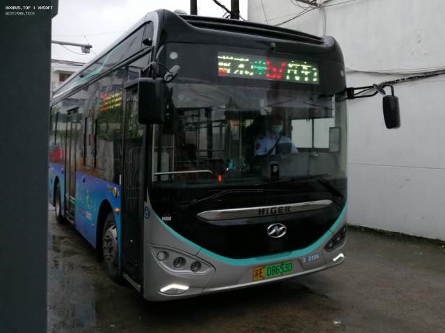 800BUS
