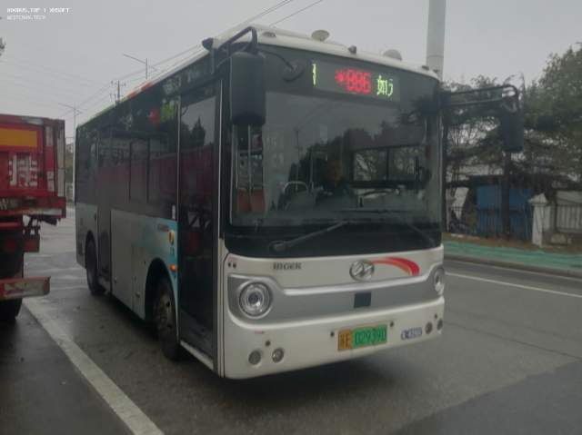800BUS