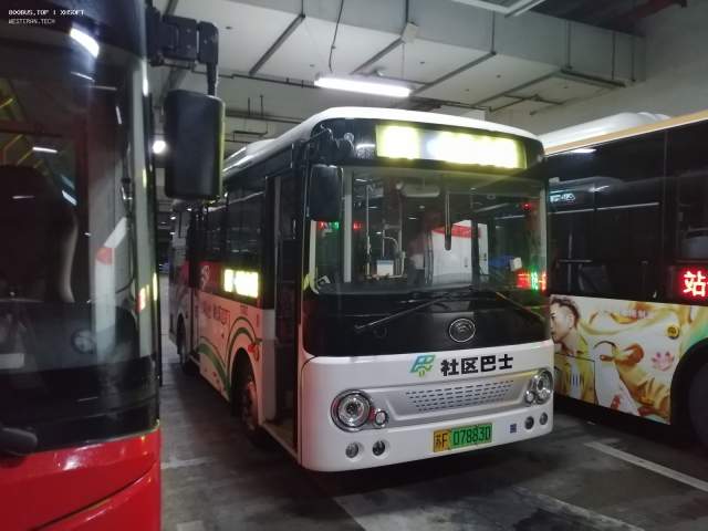 800BUS