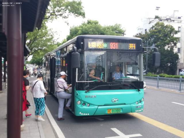 800BUS