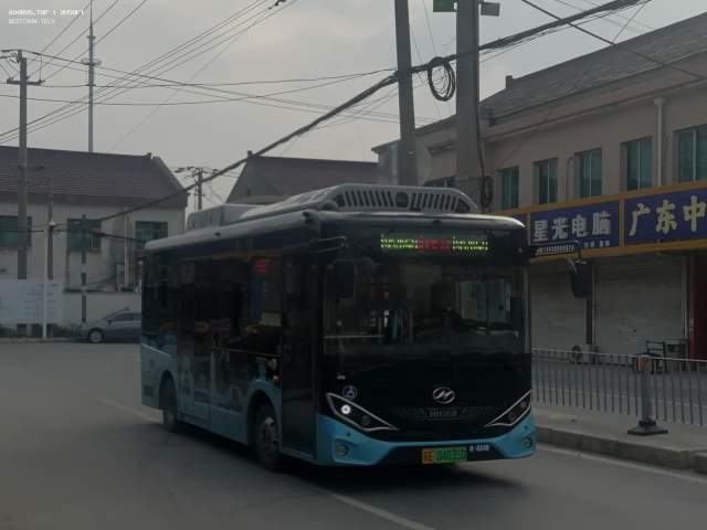 800BUS