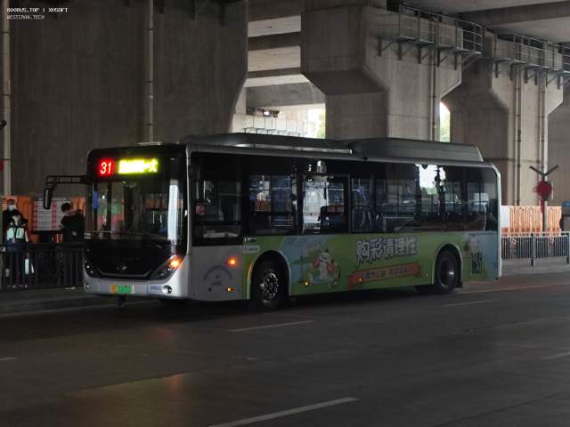 800BUS
