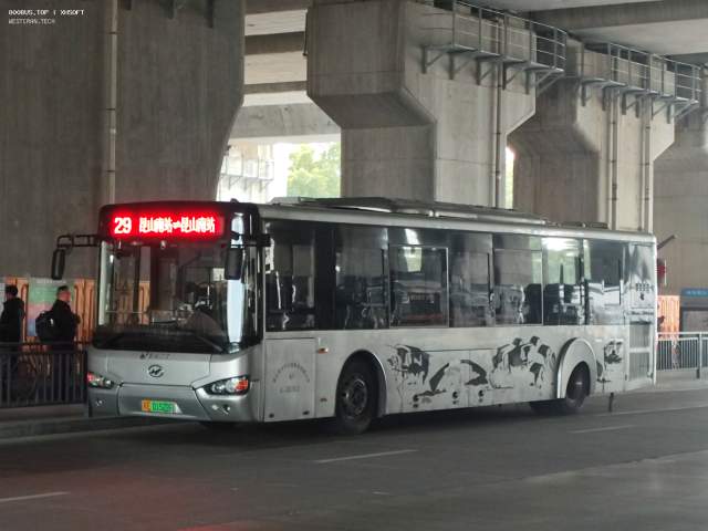 800BUS