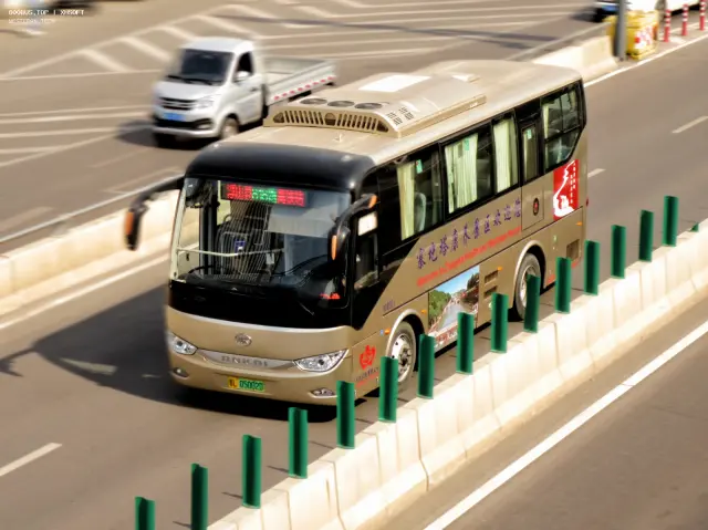 800BUS