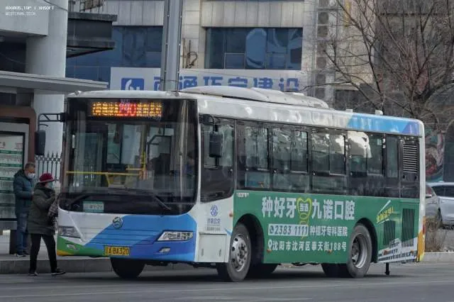 800BUS
