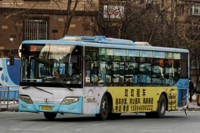 800BUS