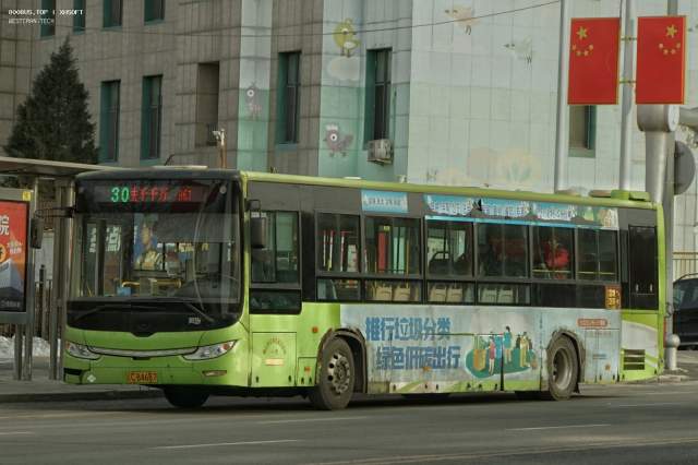 800BUS
