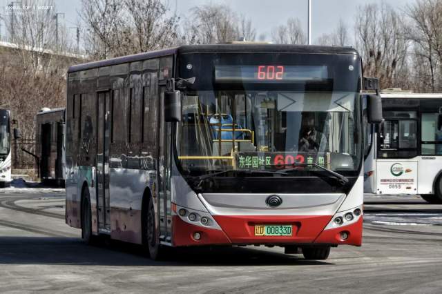 800BUS