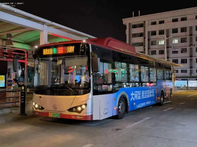 800BUS
