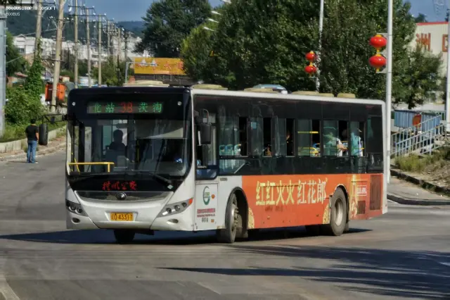 800BUS